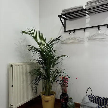 Cozy Place For 3person In The Center Of Apartman *